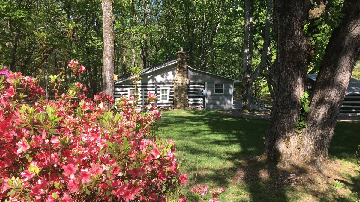 King Cabin | Log House in the Country