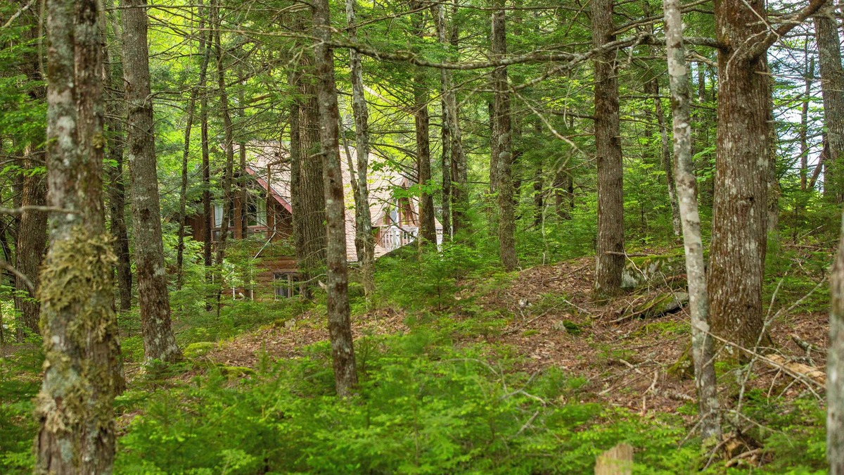 Annapolis Subdivision D House | Log house with lake view