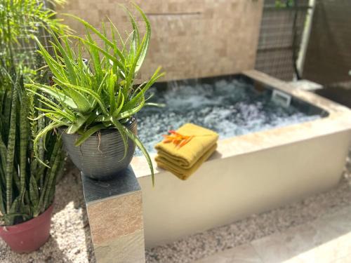 Trois-Ilets House | Logement tout confort à 1 minute à pied de la mer