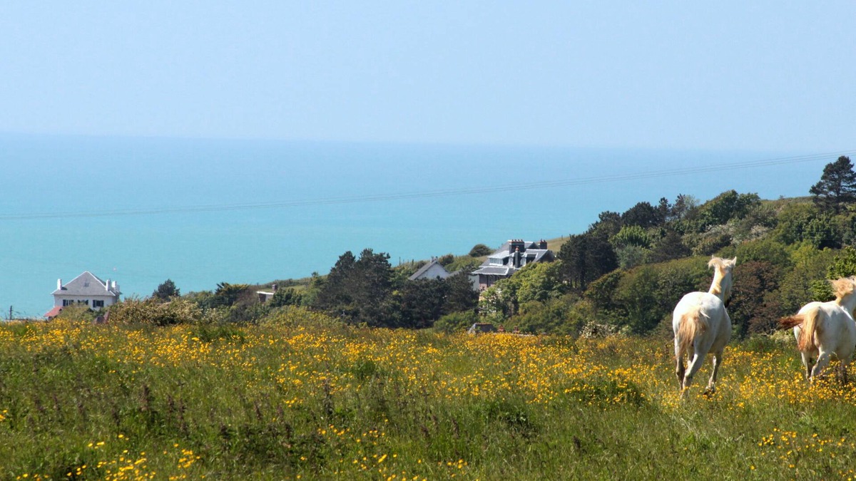 Dieppe House | LOGT 5 PEOPLE SEA VIEW. PONY AND TRAMPOLINE. LOCATED ALONG A GR. NATURE