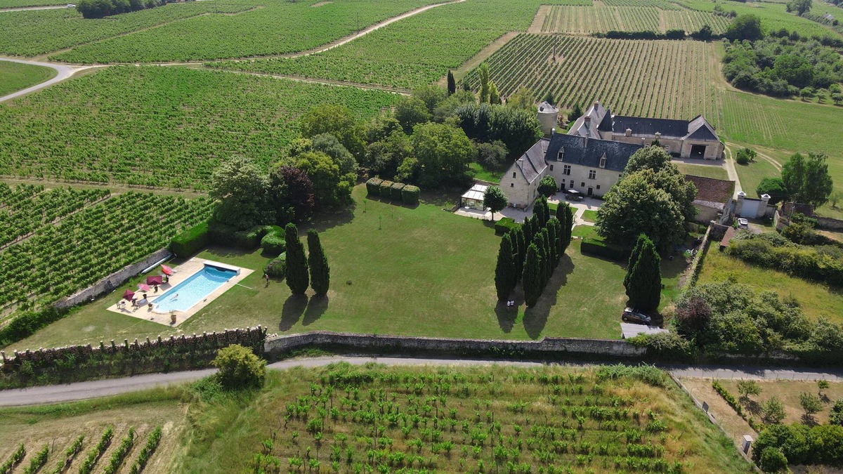 Beaumont-en-Veron Other | Loire Valley Château with Pool & Vineyards near Saumur & Chinon