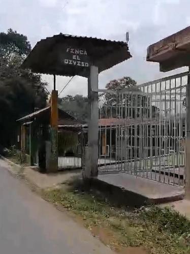 Armero House | Loma Bonita