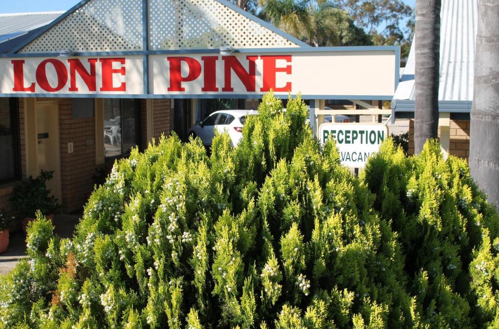 Corowa Hotel | Lone Pine Motel