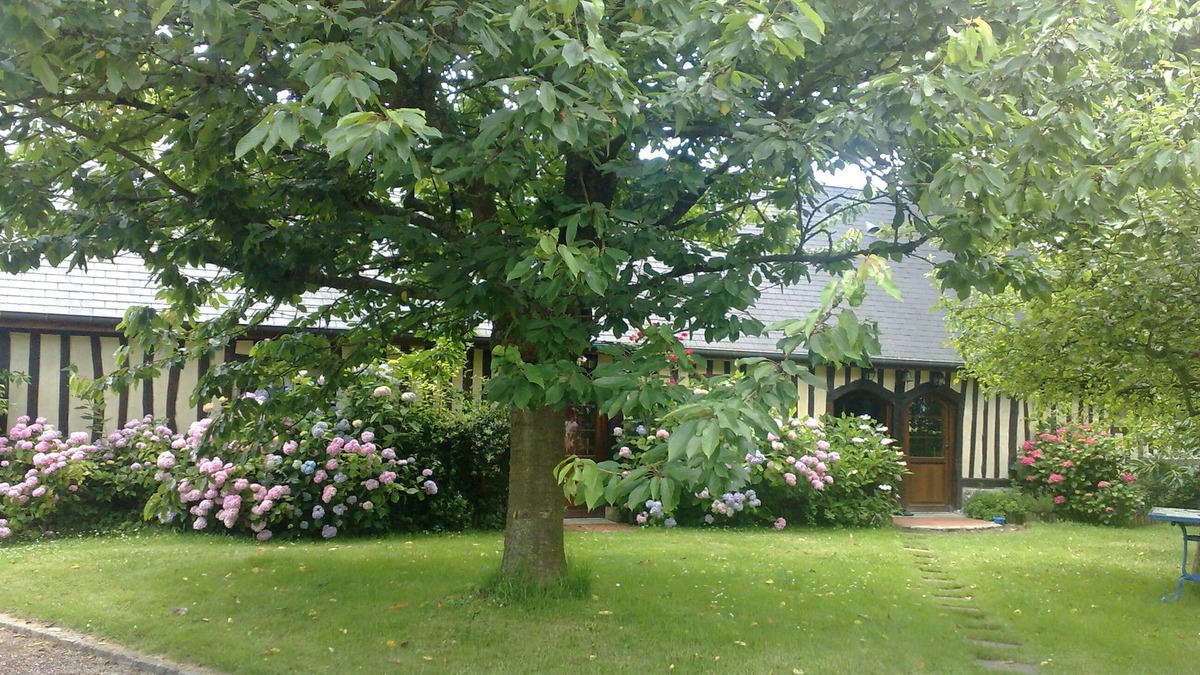 Sausseuzemare-en-Caux Cottage | Longère en Pays de Caux the discreet charm of Normandy