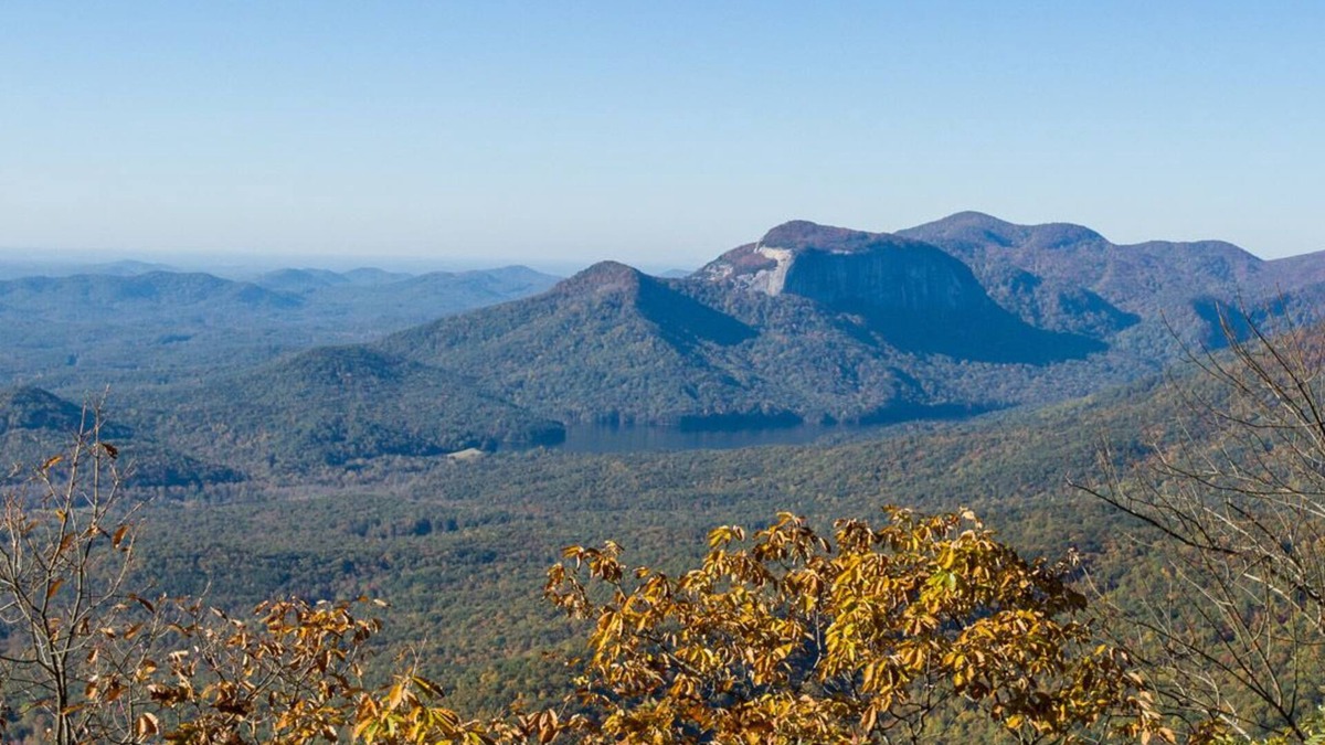 Cleveland Cabin | Long-distance views and privacy! Easy car access and walkable to trails.