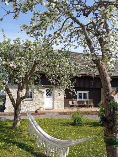 Muraste House | Loo kodu&köök