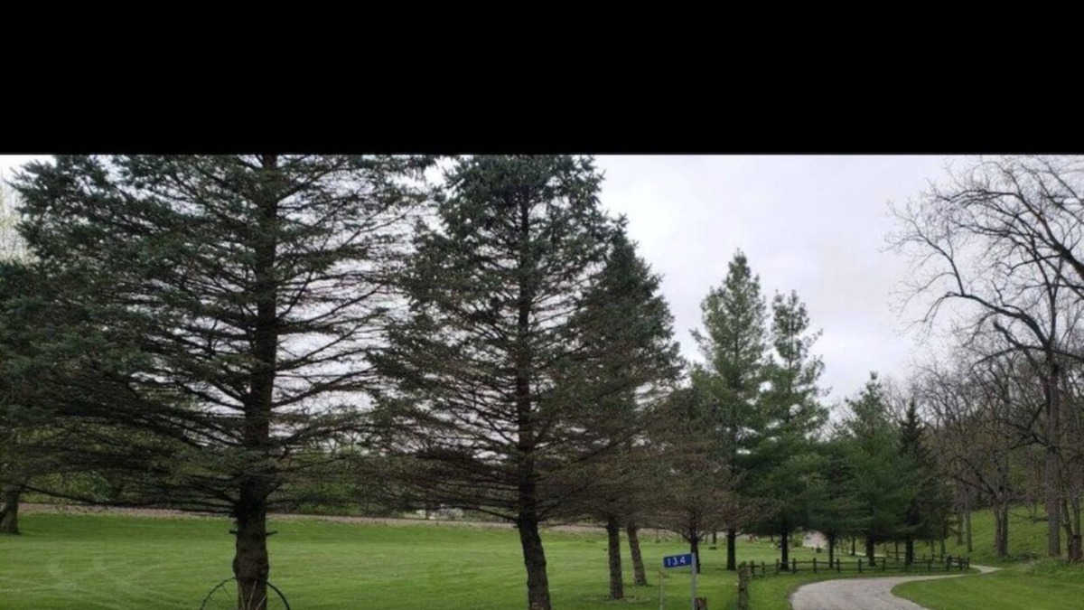 McGregor Cabin | Looking for a nice secluded area away!!!