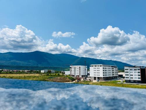 Mali Radic Apartment | LookView apartment
