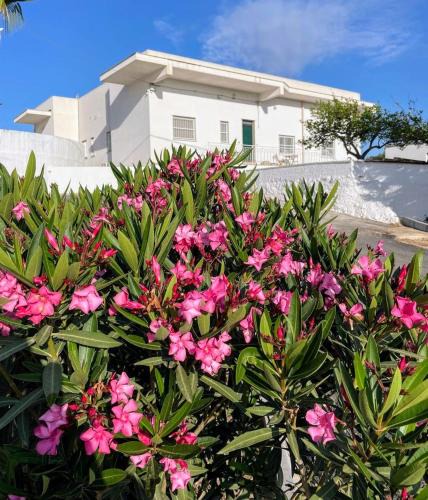 Vittoria House | Loredana Affittacamere