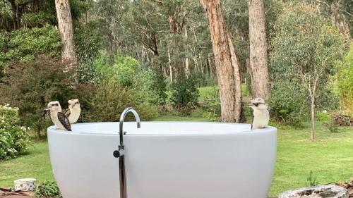 Wheatsheaf House | Lorien - Retreat + Outdoor Bathtub + Pets Welcome
