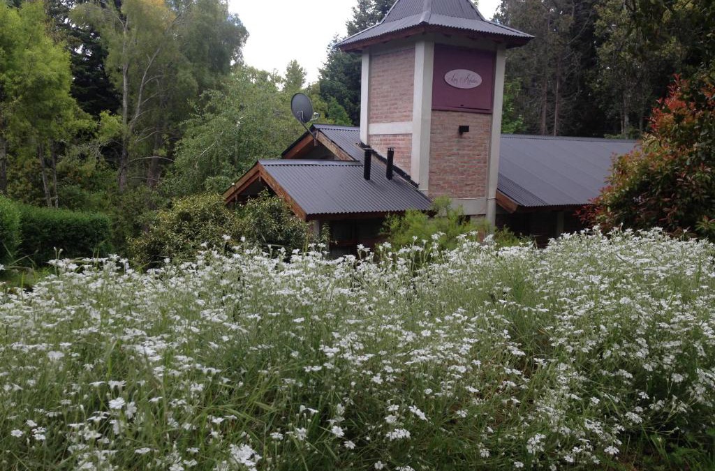 El Bolson Bed & Breakfast | Los Abetos B&B 2
