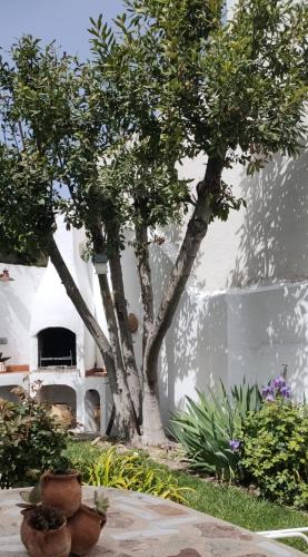 Buendia House | LOS SUEÑOS DE BUENDÍA
