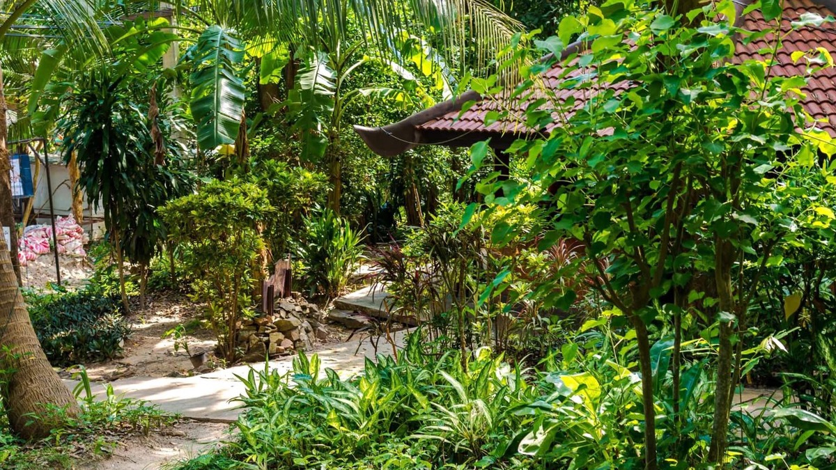 Rayong House | Lost Resort