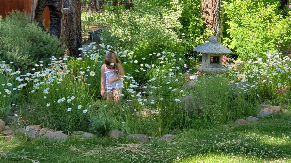 Iron Horse House | Lost Sierra Mountain Home