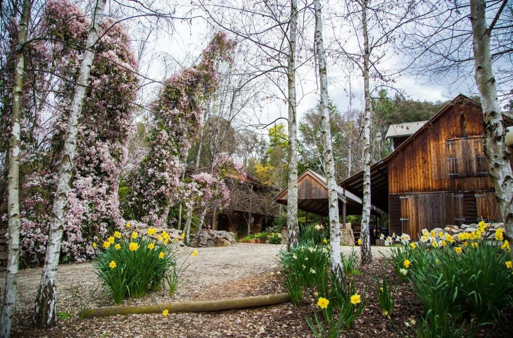 Tawonga South House | Lothlorien