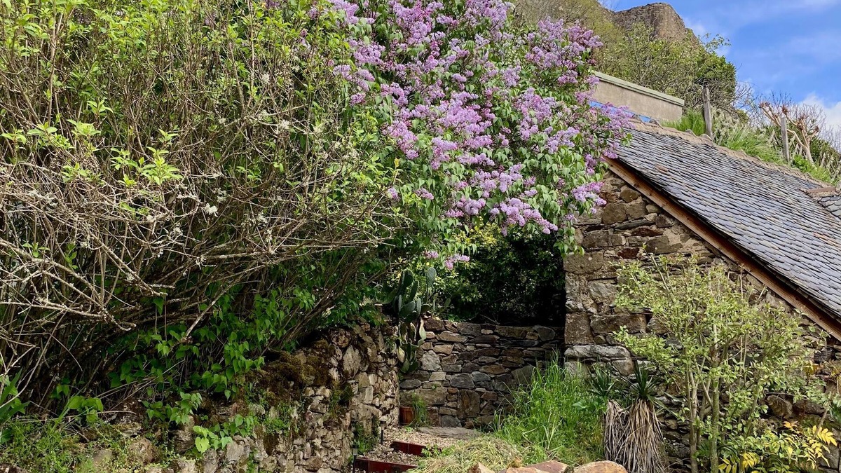 Najac Cottage | "Lou Cambrou" Cottage/Gîte located in the historic quarter of the Fortress of Najac