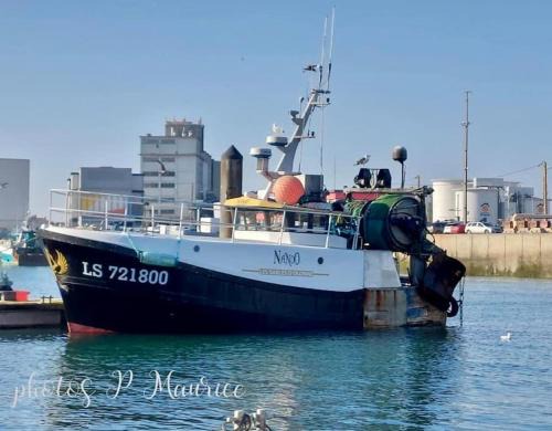 Grosbreuil Boat Rental | Louez Notre Bateau Immobilisé !