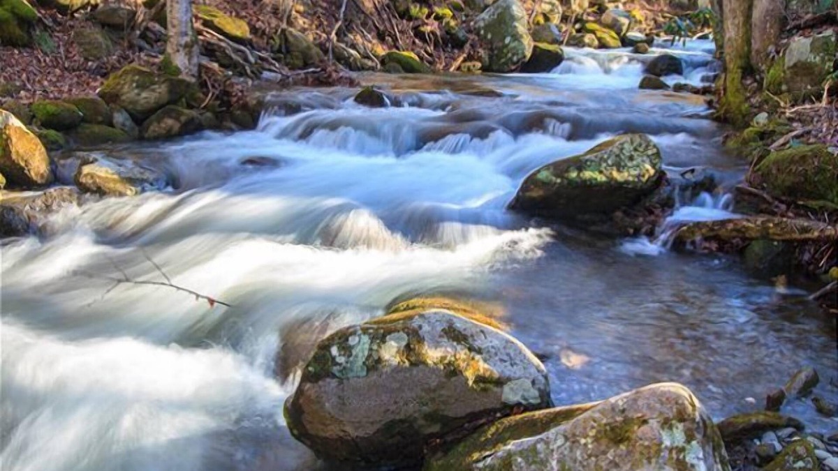 Rocky Grove Cabin | Love Shack: Pet Friendly, Free Attraction Tickets, Hot Tub, Creek Views
