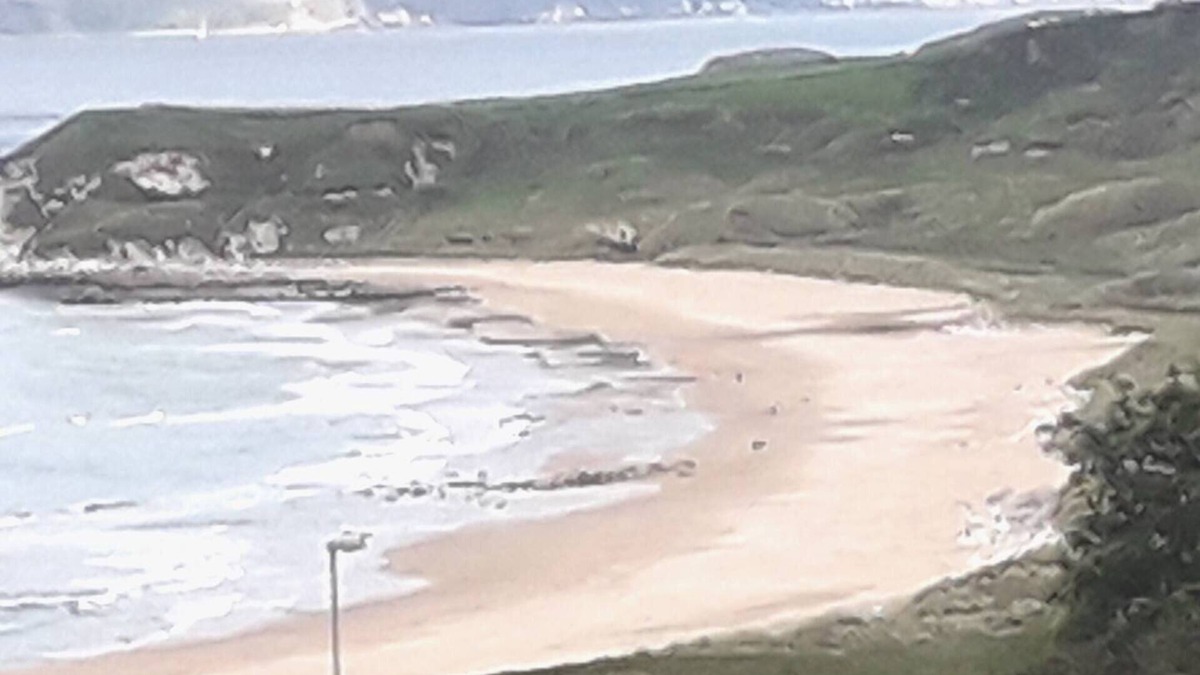 Dunseverick Apartment | Lovely 1-bed Apartment at Whitepark Bay Co Antrim