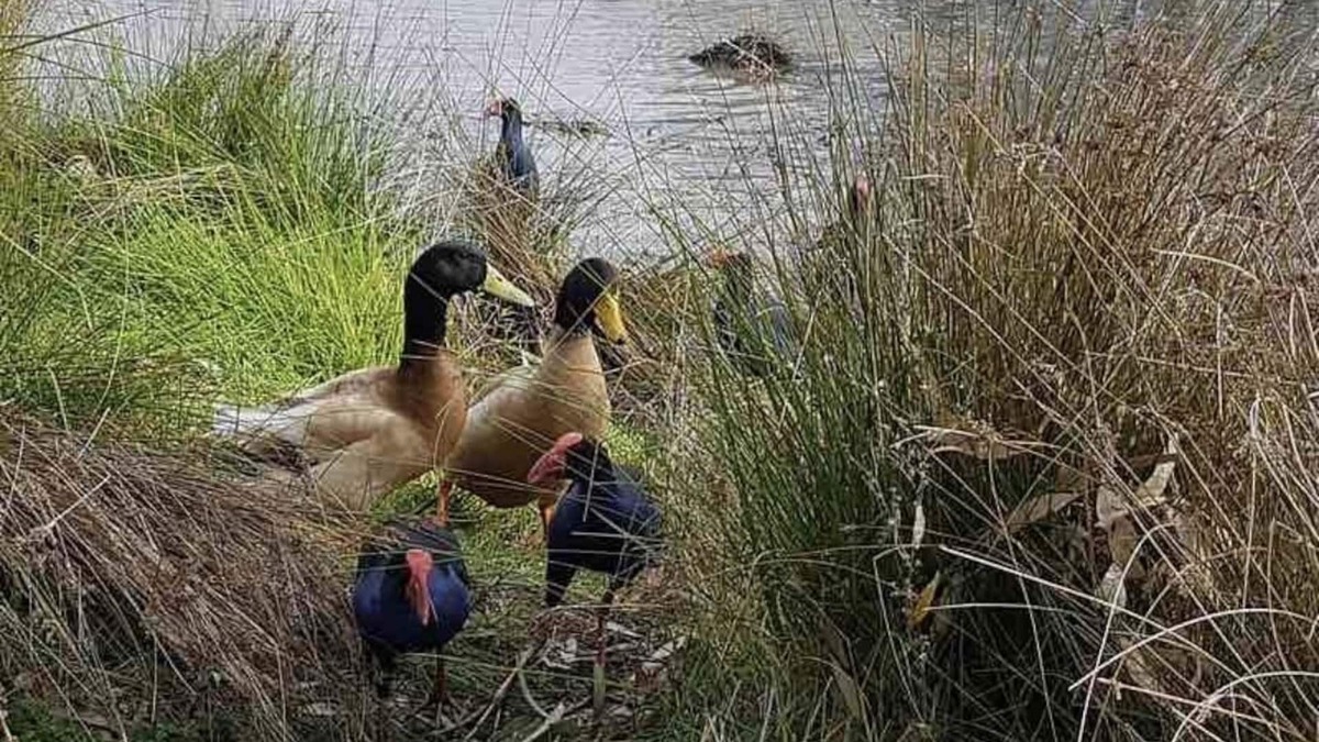 Shepparton South House | Lovely 2 bedroom apartment across from Shepp Lake.