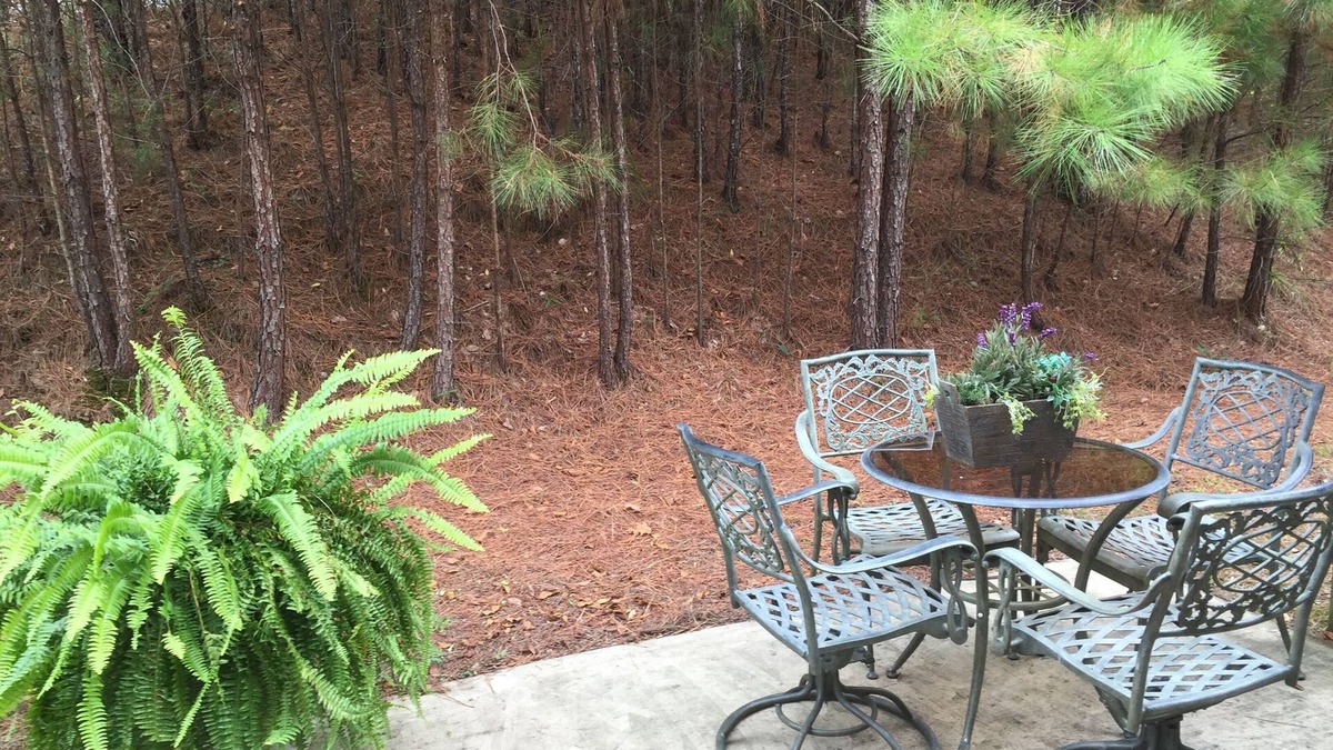 Hoover House | Lovely 4 Bed 3 Bath Town Home Conveniently to RTJ Golf, Hoover Met & college’s