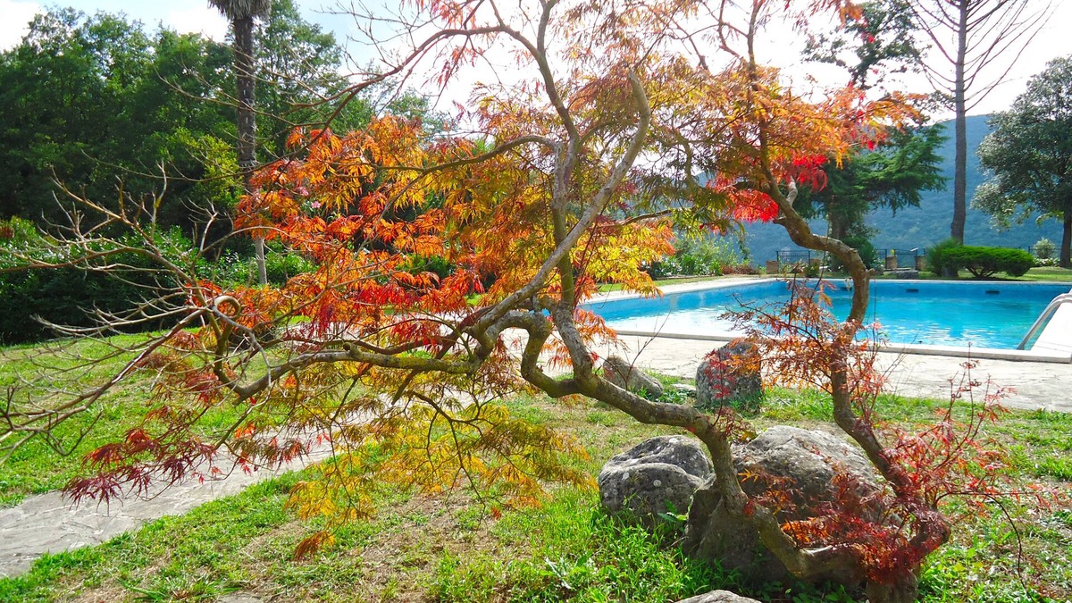 Acqua Loreto Villa | Lovely and quite property in the heart of Umbria