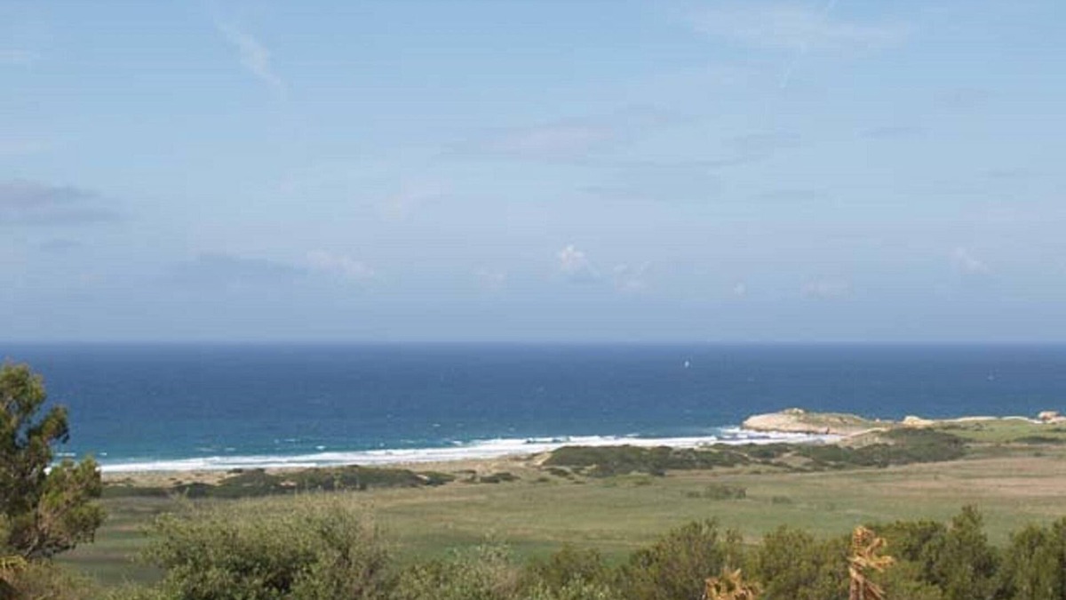 Son Bou Apartment | Lovely apartment 1 bedroom in Torre Soli Nou