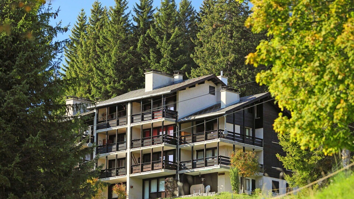 Gryon Apartment | Lovely apartment for 4 people with WIFI, TV, balcony, pets allowed and parking