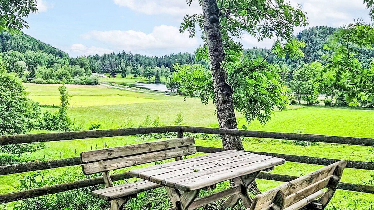 Sankt Urban Apartment | Lovely apartment for 6 guests with WIFI, terrace, panoramic view and parking