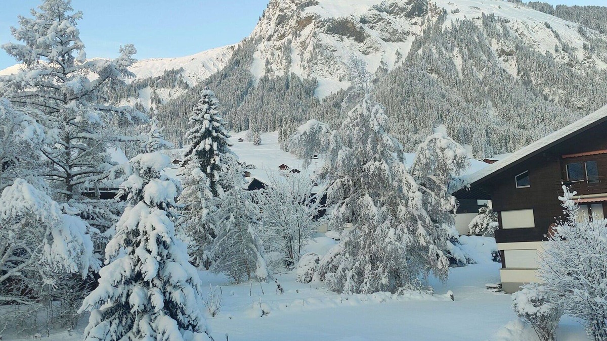 Lenk Apartment | Lovely apartment for 5 people with WIFI, balcony and parking