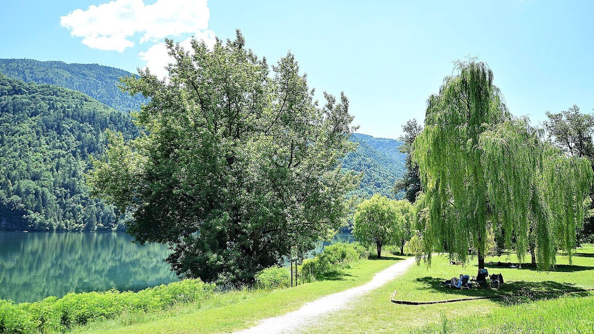 Feltre Apartment | Lovely apartment for 6 guests with WIFI, TV, terrace and panoramic view