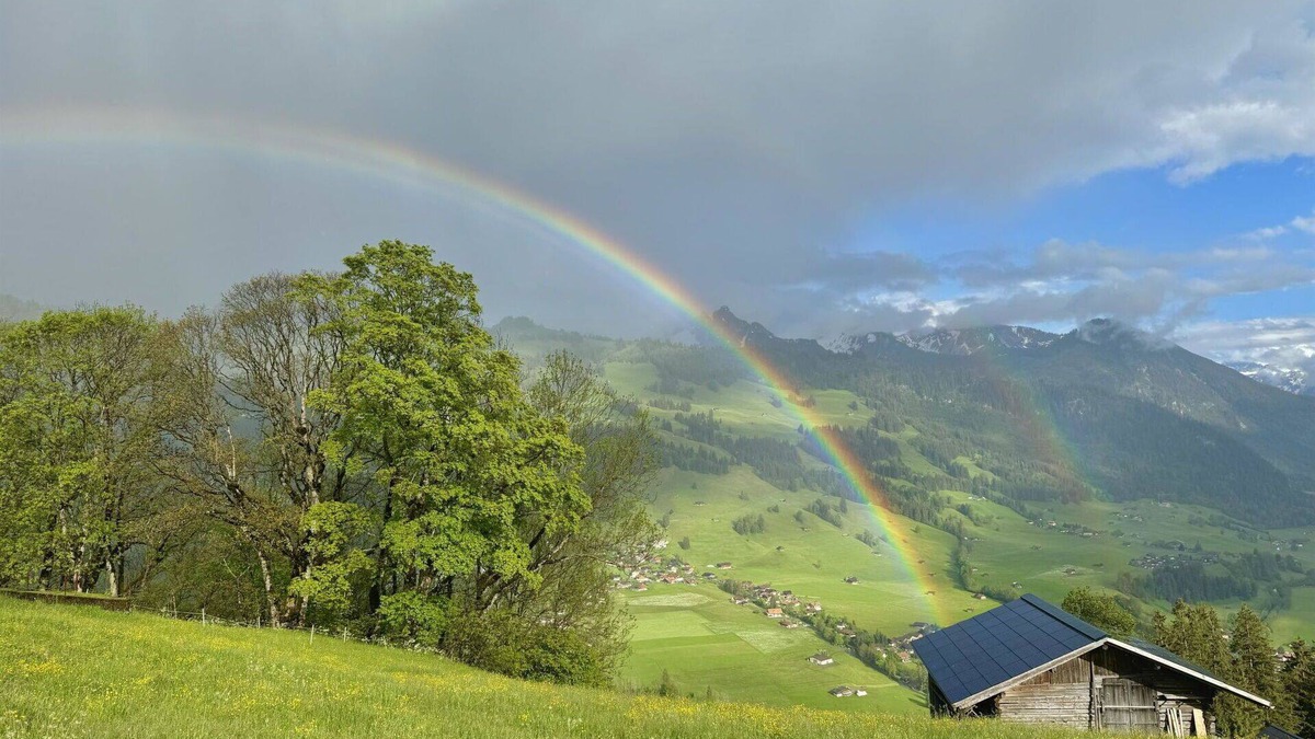 Zweisimmen Apartment | Lovely apartment for 3 people with WIFI, balcony and pets allowed