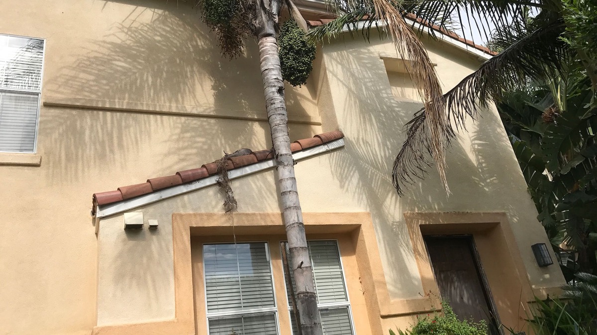 San Juan Capistrano House | Lovely Coastal~Equestrian 2 Story Home Near Beaches,Disney,Sea World,Golf,Hiking