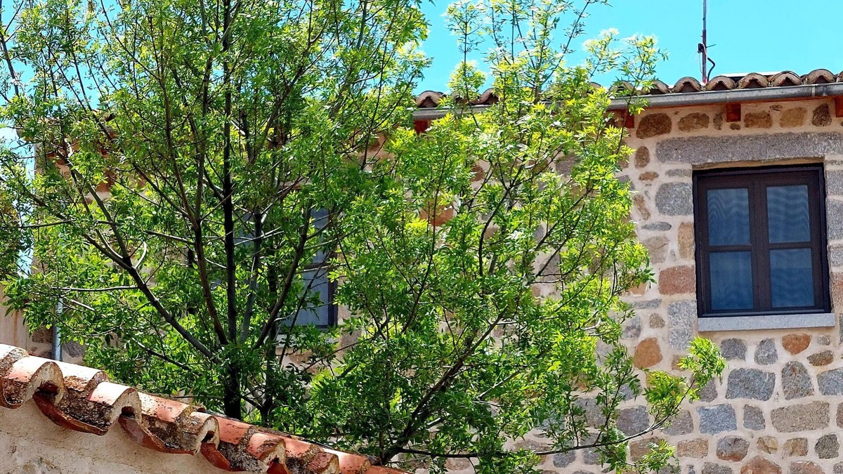 El Fresno House | Lovely country house in Avila