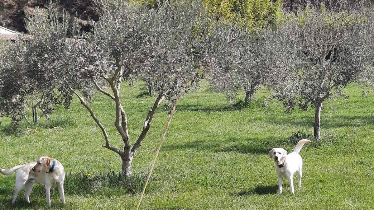 Puget Apartment | Lovely detached apartment in the countryside in a family-run farmhouse