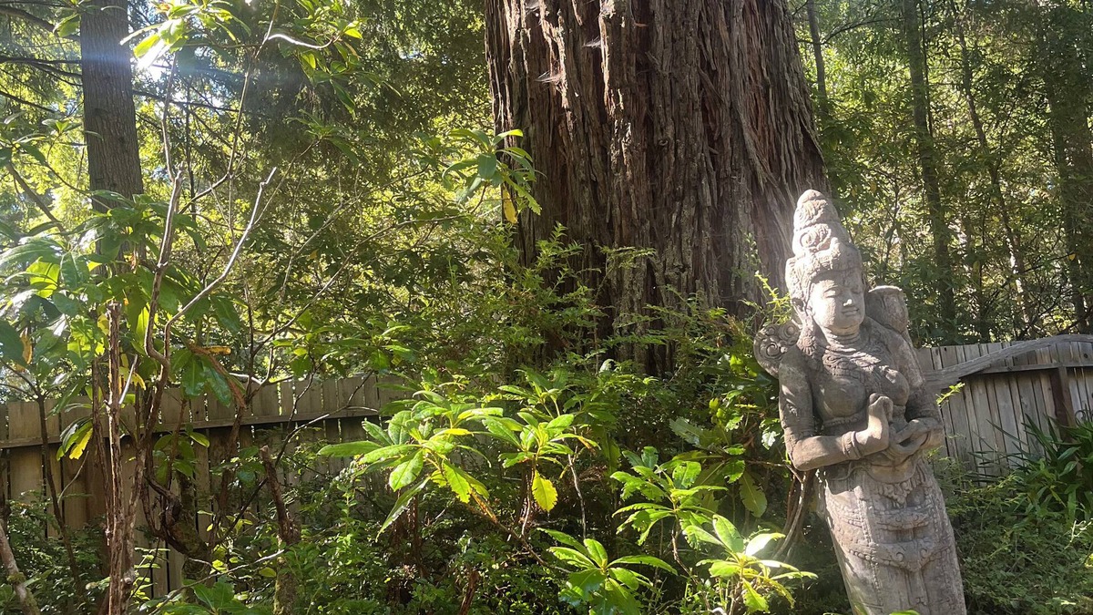 Mendocino Cottage | Lovely Garden Cottage nestled in the Redwoods just minutes to Village & Ocean.