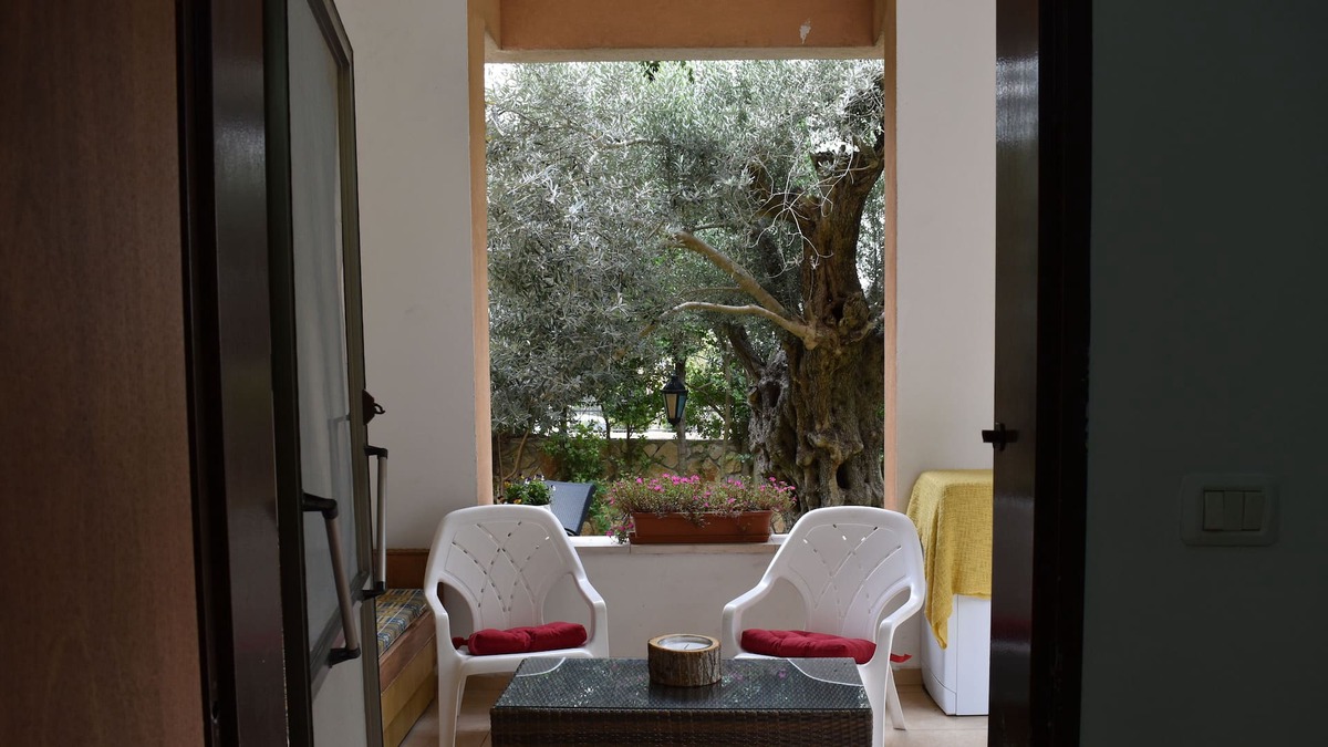 Isfiya Apartment | Lovely garden unit on Mt. Carmel