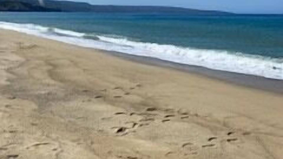 Pizzo Apartment | Lovely ground floor apartment with a garden, 5 minutes walk to a sandy beach