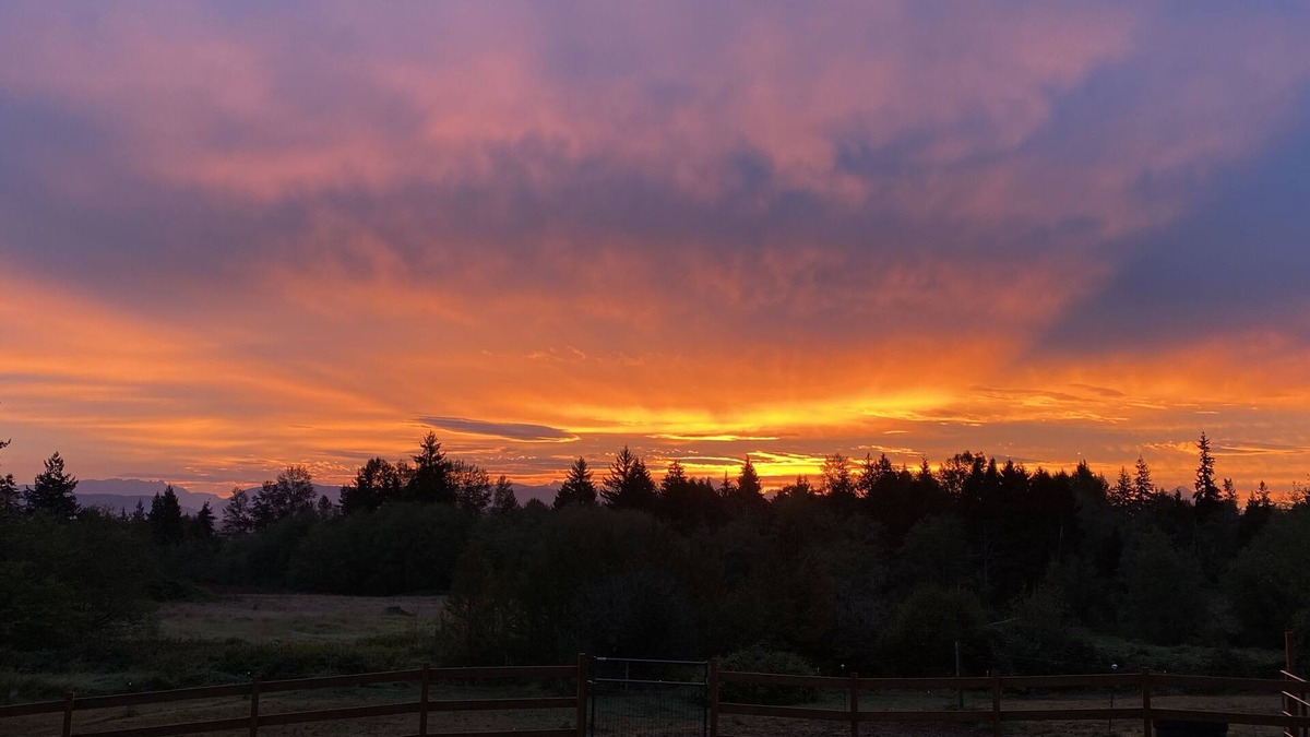 Arlington Apartment | Lovely Mountain View Cottage with Hot Tub, close to amenities!