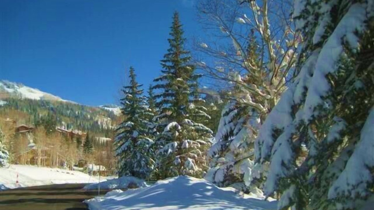 Deer Valley House | Lovely Newer Remodel: Upper Deer Valley; Views; Spacious; Walk to Lifts & Dining