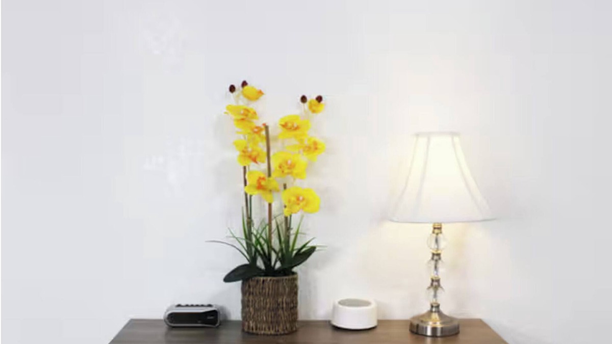 Maverick Creek Apartment | Lovely Private Room in a nice house with AC, WiFi