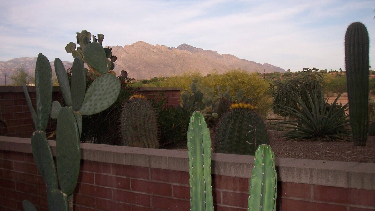 Casas Adobes House | Lovely Two Bedroom Getaway Located On Omni National Golf Course