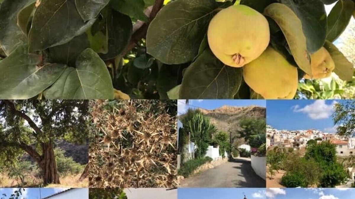 Bedar Villa | Lovely Villa in a protected Mountain Rural Setting