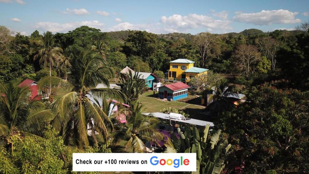 Unitedville Cabin | Lower Dover Jungle Lodge & Maya Ruins