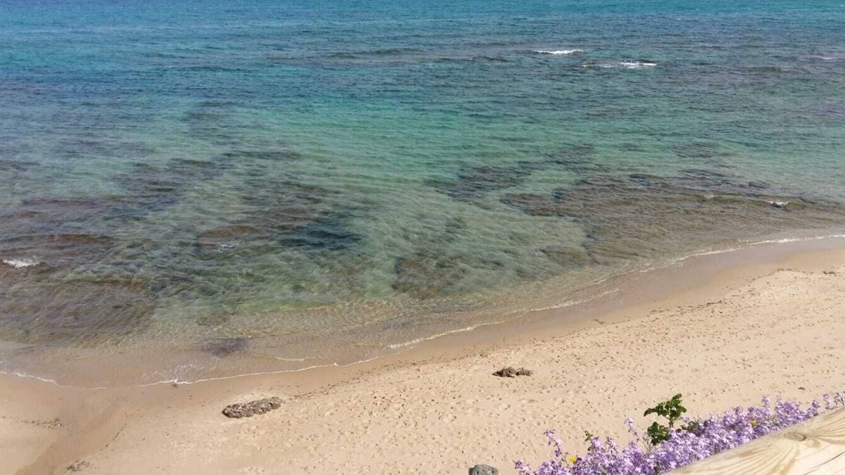 Lu Bagnu House | Lubagnu House (Castel Sardo) A stone's throw from the sea