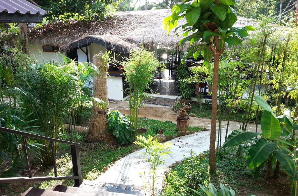 Bai Lan House | Lucky Gecko Garden