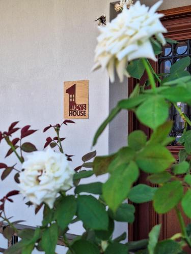 Ioannina Town Centre Apartment | Lucy's cozy house in the castle