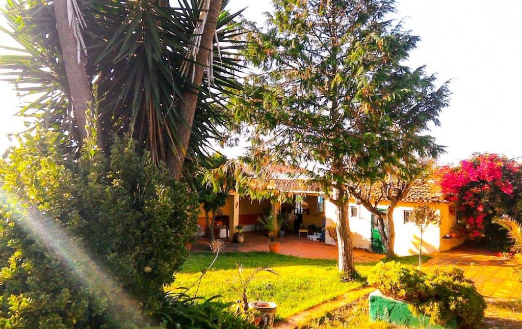 Algueirao - Mem Martins Bed & Breakfast | Lugar Saloio Sintra
