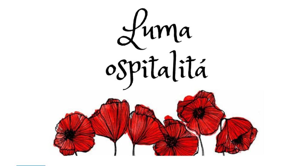 Molfetta Apartment | Luma ospitalità