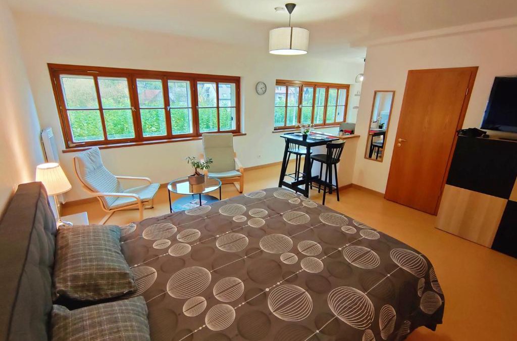Thann Apartment | Lumineux Appartement Free Parking Nature Ville tt équipé